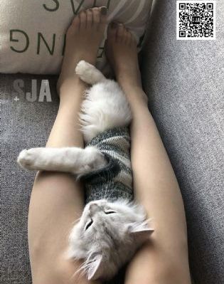 中国剧在线观看高清播放_BD英语在线视频播放