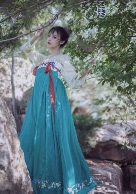 廉石传奇 电视剧_蓝光电视剧在线观看